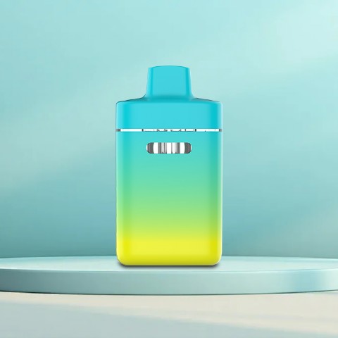 Disposable Rechargeable Batteries Pod Vape 